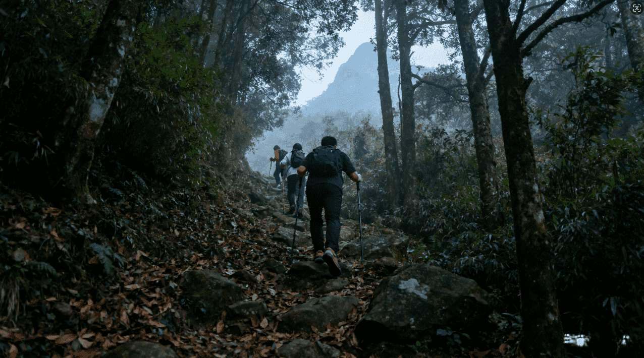 佛跳墙代理加速器在VPN中的应用实践与效率提升策略